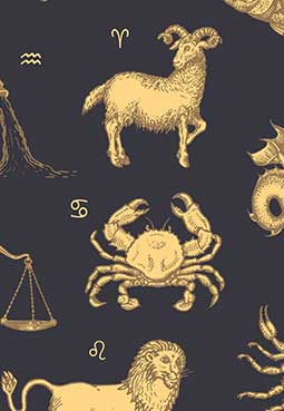 Astrology and career