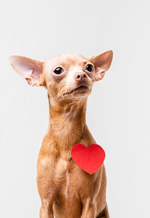 What zodiac signs make the best friends