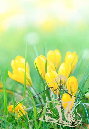 Aquarius, April: Your Monthly Astrological Horoscope