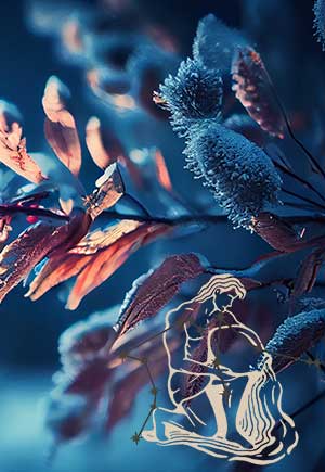 Aquarius, January: Your Monthly Astrological Horoscope