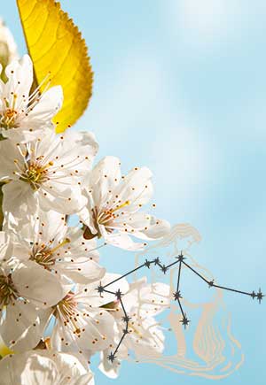 Aquarius, May: Your Monthly Astrological Horoscope