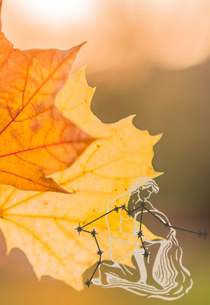 Aquarius, November: Your Monthly Astrological Horoscope