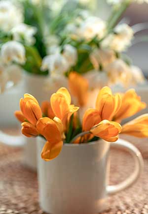 Cancer, May: Your Monthly Astrological Horoscope