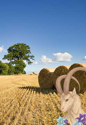 Capricorn, August: Your Monthly Astrological Horoscope