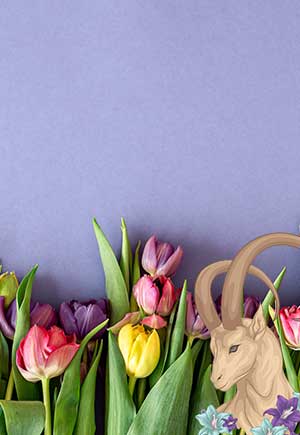 Capricorn, March: Your Monthly Astrological Horoscope