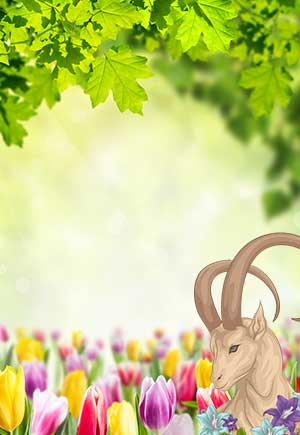 Capricorn, May: Your Monthly Astrological Horoscope