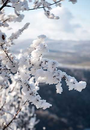 Gemini, February: Your Monthly Astrological Horoscope