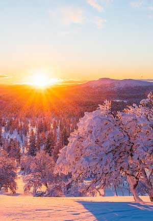 Gemini, January: Your Monthly Astrological Horoscope