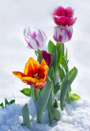 Gemini, March: Your Monthly Astrological Horoscope