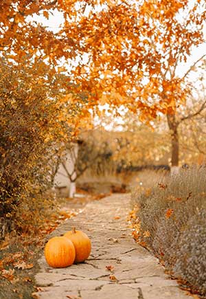 Gemini, November: Your Monthly Astrological Horoscope