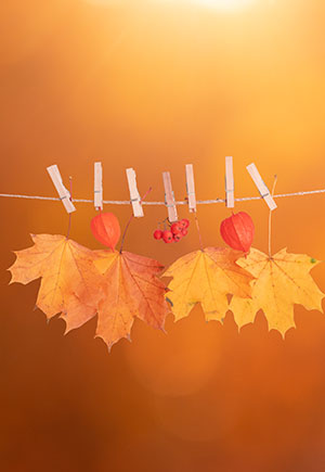 Gemini, September: Your Monthly Astrological Horoscope