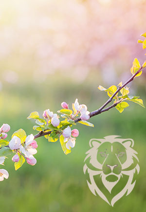 Leo, April: Your Monthly Astrological Horoscope