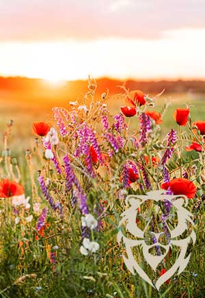 Leo, June: Your Monthly Astrological Horoscope