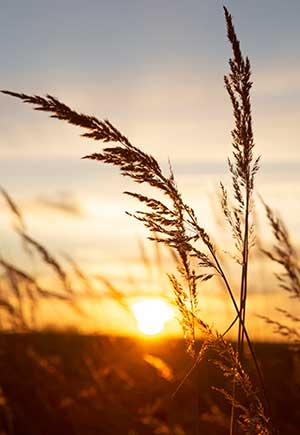 Libra, August: Your Monthly Astrological Horoscope