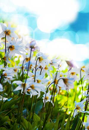 Libra, May: Your Monthly Astrological Horoscope