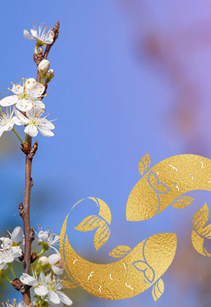 Pisces, April: Your Monthly Astrological Horoscope