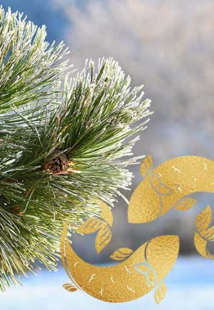 Pisces, January: Your Monthly Astrological Horoscope