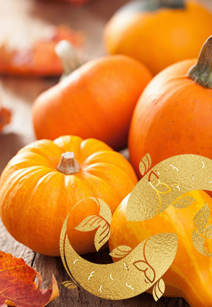 Pisces, October: Your Monthly Astrological Horoscope