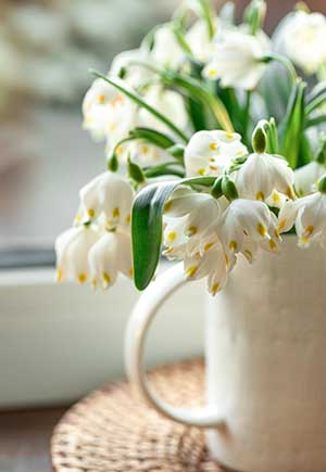 Sagittarius, April: Your Monthly Astrological Horoscope