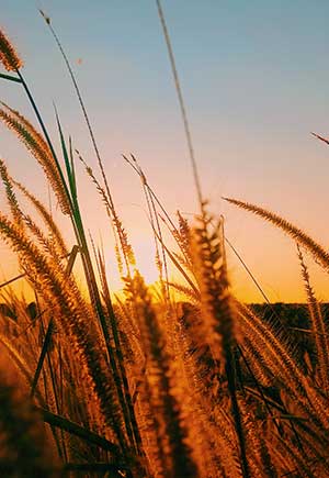 Sagittarius, August: Your Monthly Astrological Horoscope