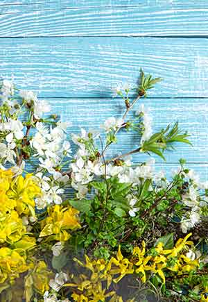 Sagittarius, May: Your Monthly Astrological Horoscope