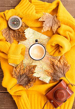 Sagittarius, September: Your Monthly Astrological Horoscope