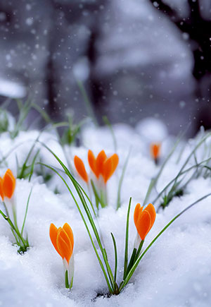 Scorpio, January: Your Monthly Astrological Horoscope