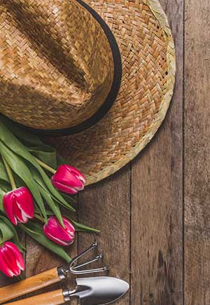 Taurus, July: Your Monthly Astrological Horoscope