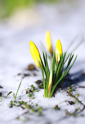 Virgo, February: Your Monthly Astrological Horoscope