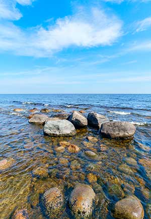 Virgo, June: Your Monthly Astrological Horoscope