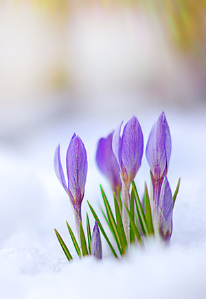 Virgo, March: Your Monthly Astrological Horoscope