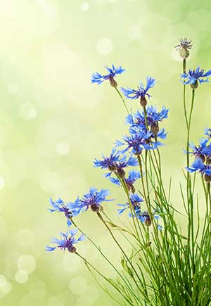 Virgo, May: Your Monthly Astrological Horoscope