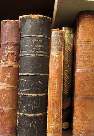 Mercury in Leo in the Natal Chart