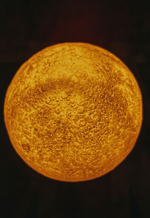 Sun in the 10th House in the Natal Chart