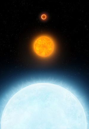 Sun in the 11th House in the Natal Chart