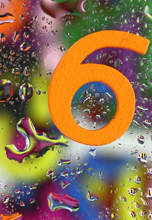 The Weaknesses of Life Path Number 6