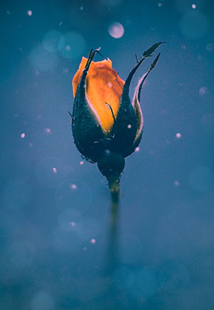 How Emotional Readiness Changes Relationships Over Time