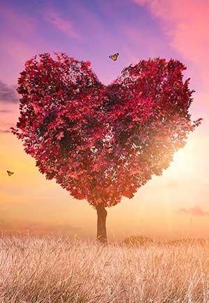 Twin Flame Numerology Compatibility Signs