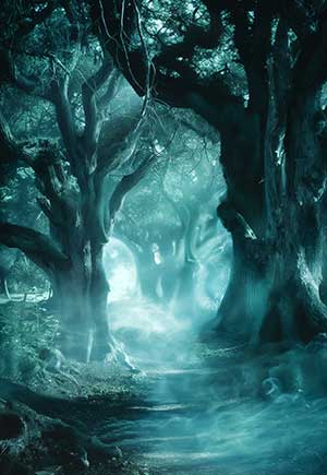 What Does It Mean When You Dream About a Deep Forest?
