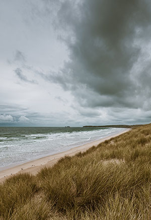 What Does It Mean When You Dream About a Strong Wind?